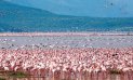 Lake Elmenteita Serena Camp, Lake Elmenteita